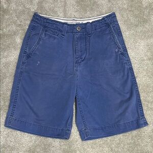 American Eagle Men's Blue Casual Shorts
